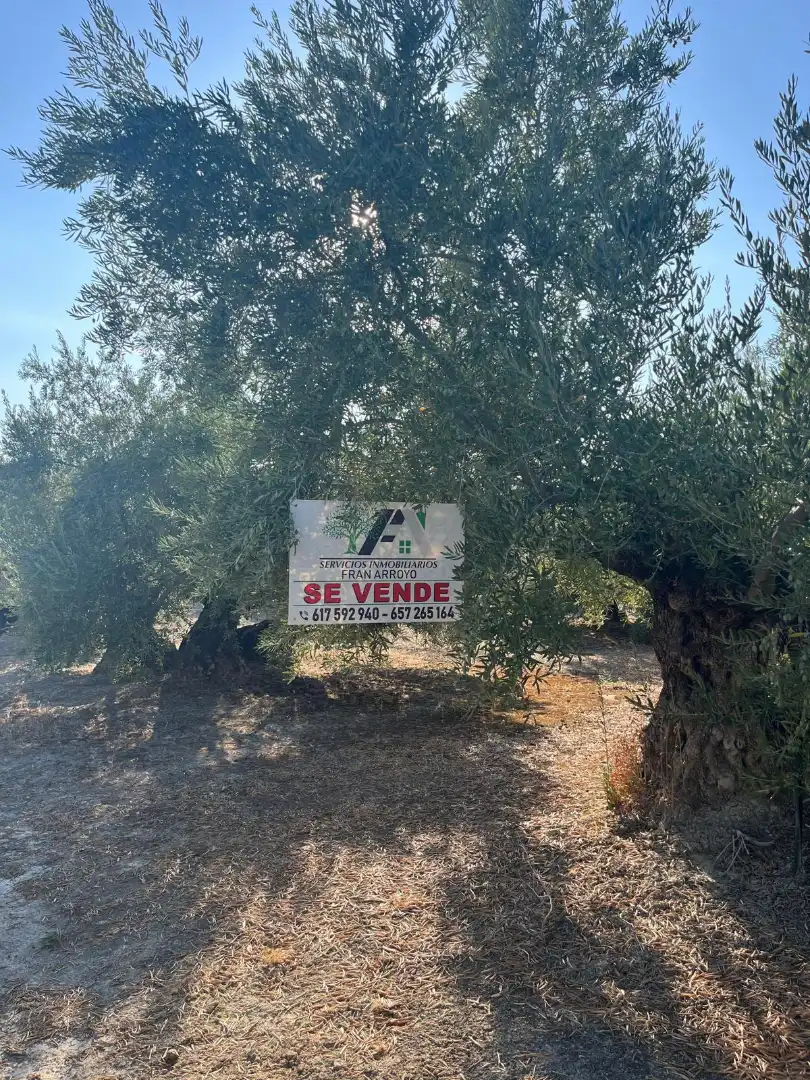 Terreno industrial en venta en Úbeda, imagen 3