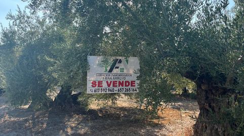 Terreno en venta en Huerta del A. Vallejo s/n, Ubeda., immagine 3