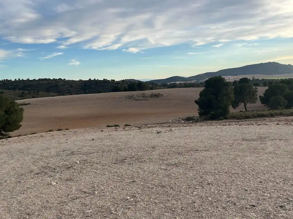 Terrenos y solares en venta en Hellín, imagen 8