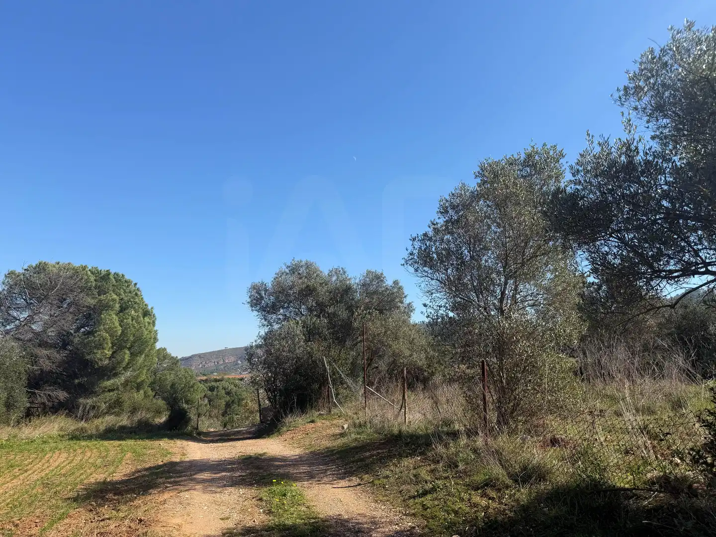 Rural land for sale in Castellví de Rosanes, imagen 5