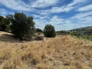 Land for sale in Monda