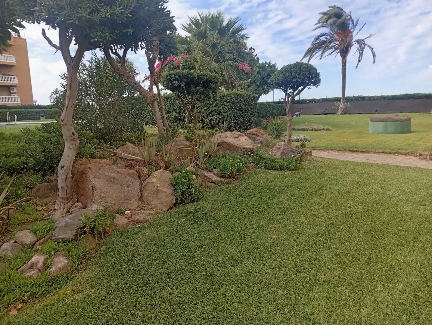 Jardín de Estudio de alquiler en Málaga con Terraza, Amueblado y Piscina comunitaria