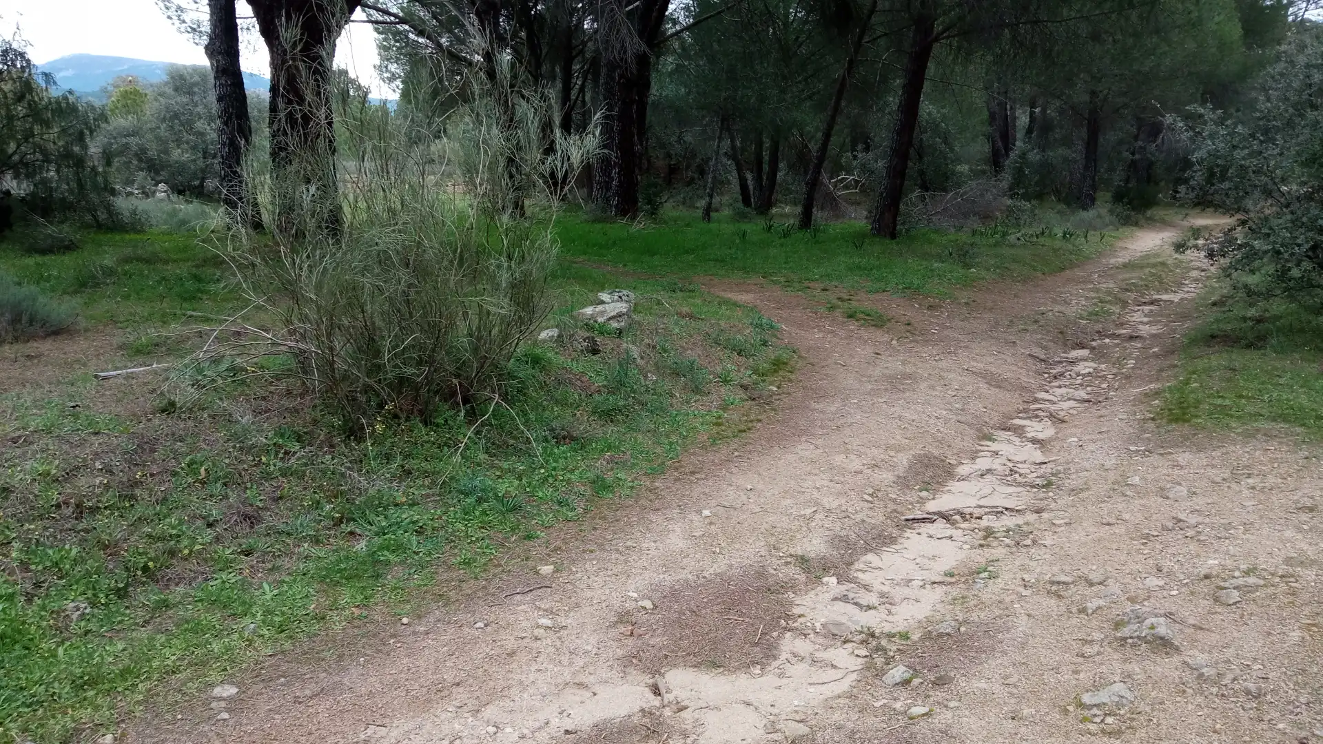 Terreny rústic en venda a Sotillo de la Adrada, imagen 7