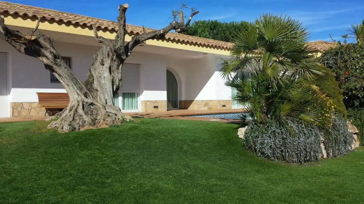 Casa amb jardí en venda a Santa Margarita, imagen 4
