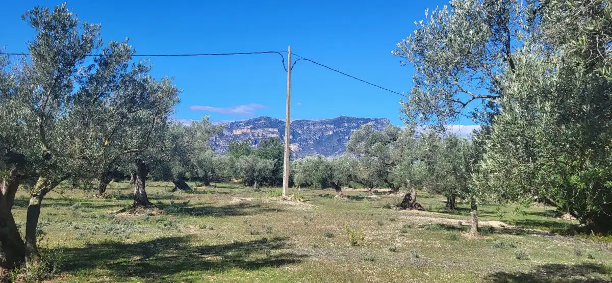 Casa rustica in vendita a N/A, imagen 18
