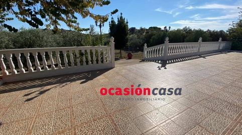 ESPECTACULAR PARCELA CON CASA, PISCINA Y OLIVOS, imagen 2