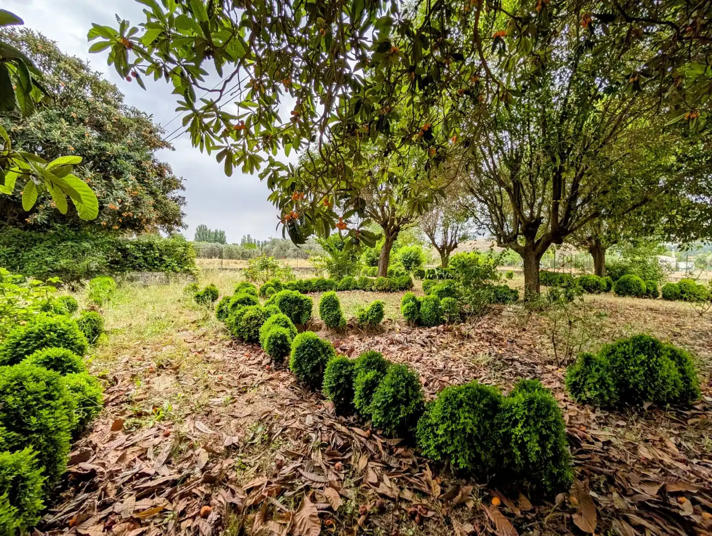 Jardí de Casa o xalet en venda en Loja amb Aire condicionat, Calefacció i Jardí privat