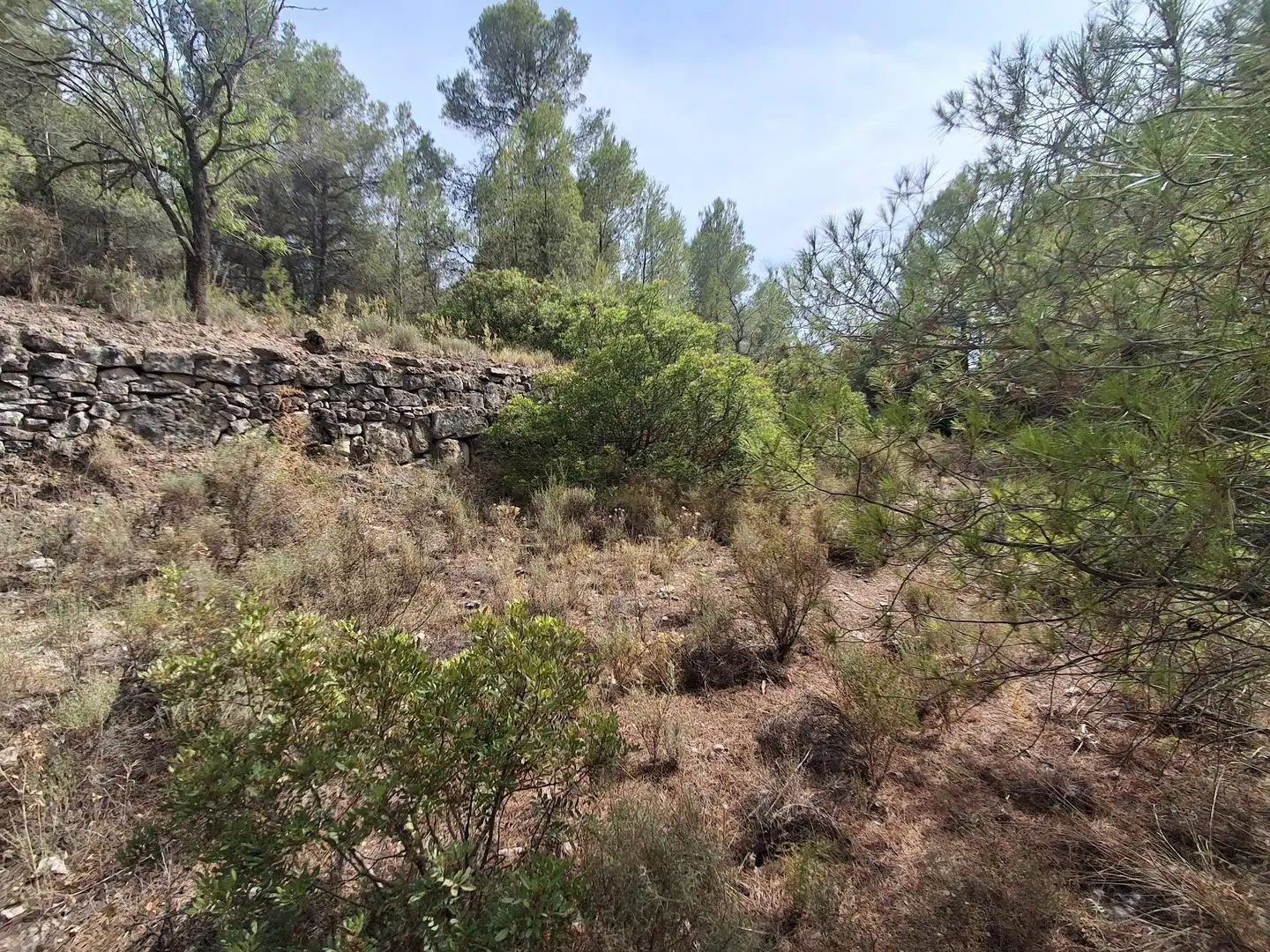 Rural land for sale in Gandesa, imagen 46