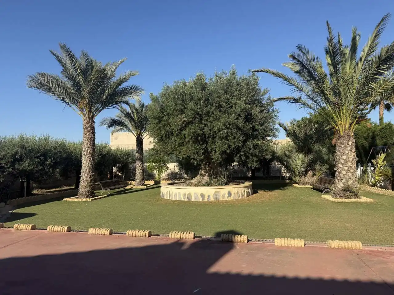 Jardín de Casa o chalet en venta en Elche / Elx con Aire acondicionado, Calefacción y Jardín privado