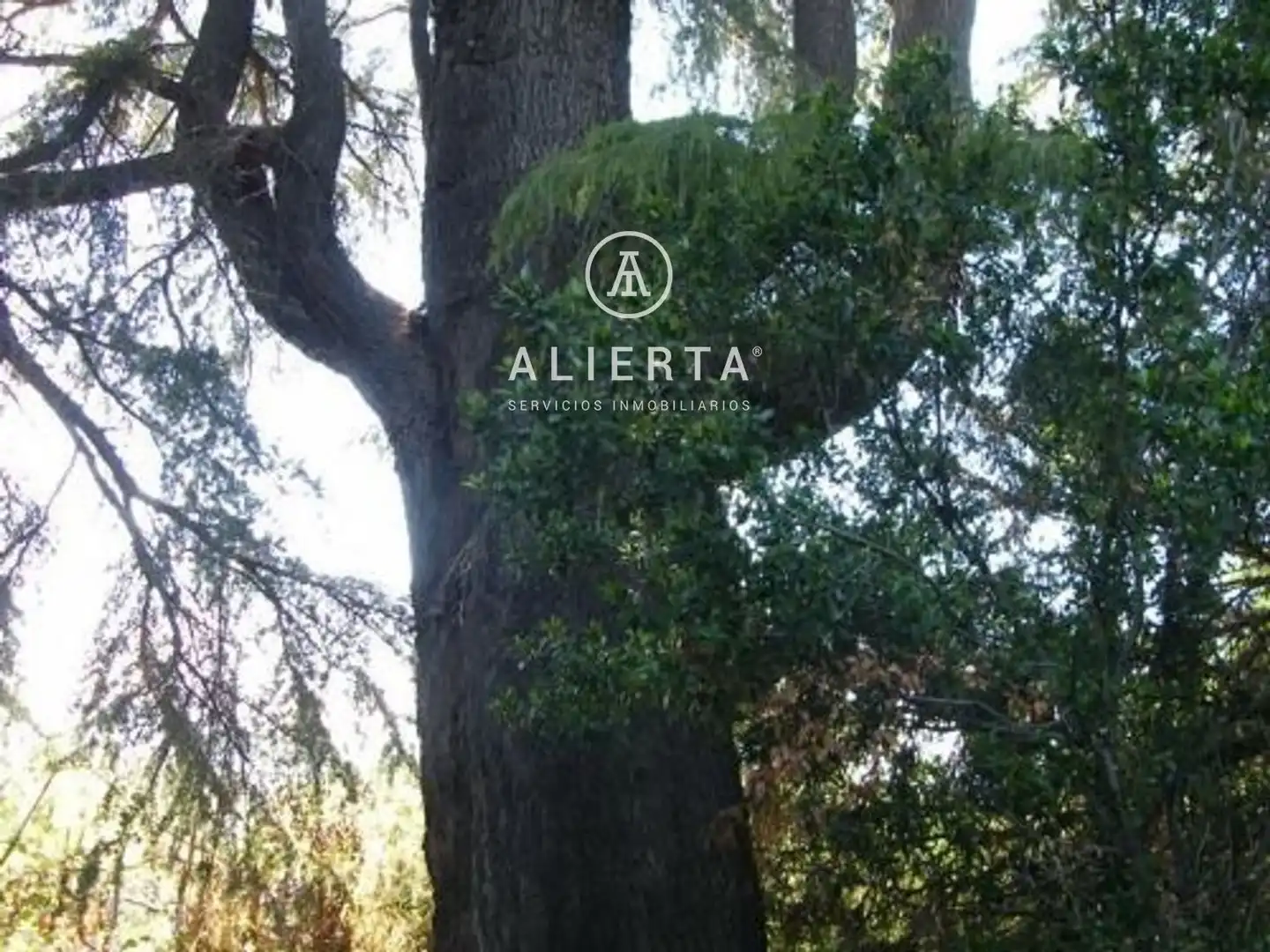 Chalet en venta en Sagunto-Burgos, imagen 32
