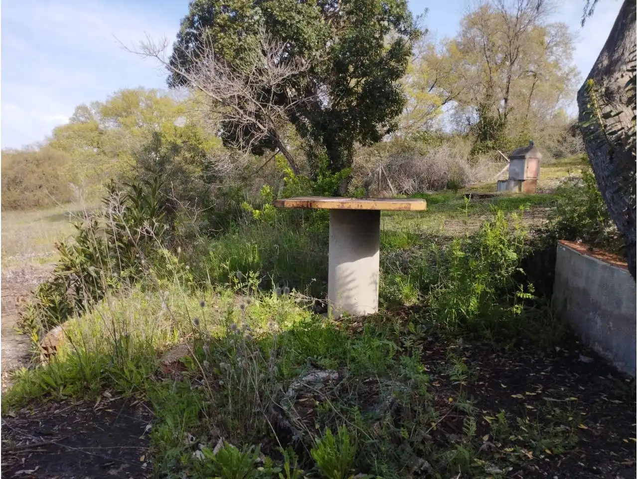 Terrenos y solares en venta en Badajoz, imagen 7