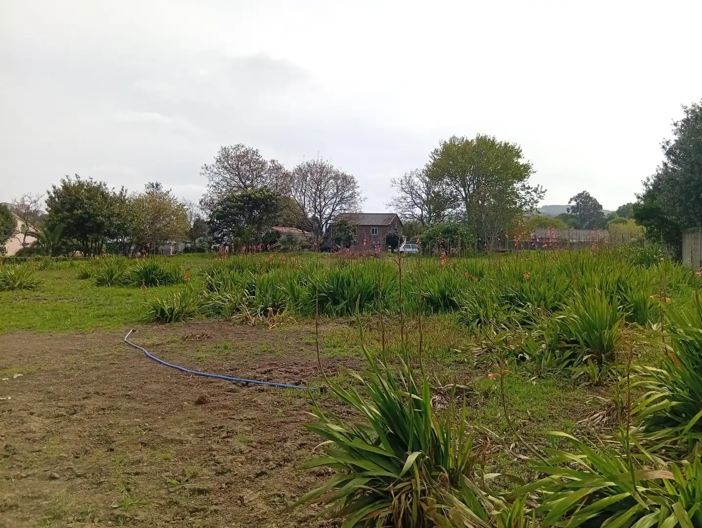 Finca rústica en venda en Ferrol
