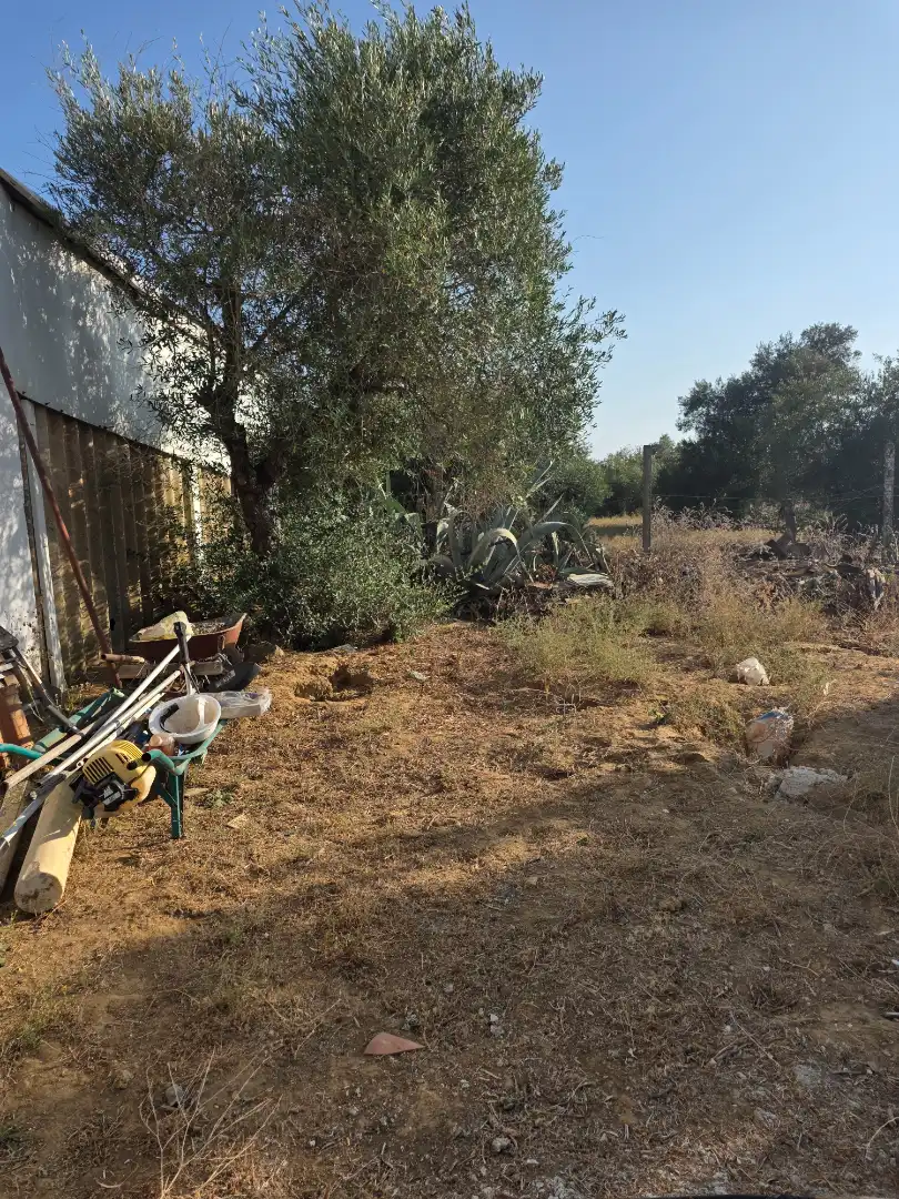 Terreni e lotti in vendita a Pedanías Norte, imagen 58