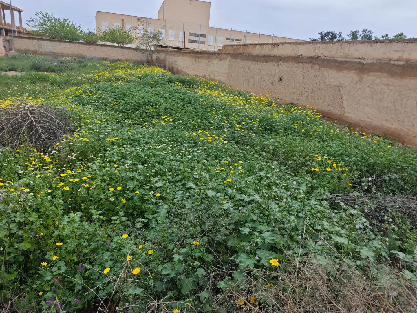 Residential zum Verkauf in Murcia