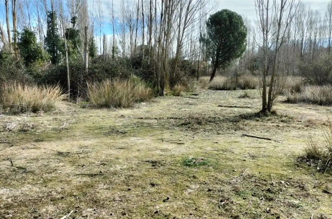 Lands and plots for sale in Calle Paloma, Sector 9 La Estación, imagen 7