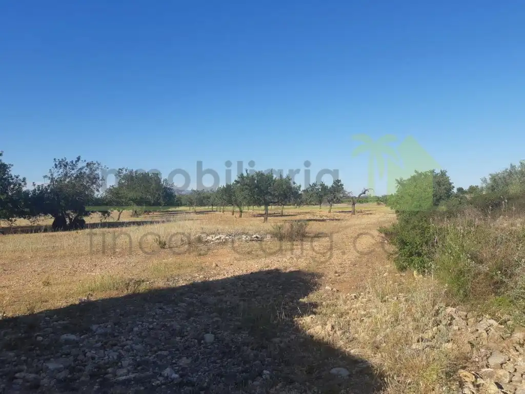 Terreno residencial en venta en Pueblo, imagen 6