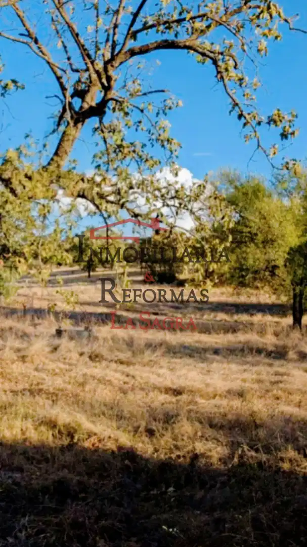 Vista exterior de Finca rústica en venta en Talayuela con Jardín privado, Terraza y Amueblado