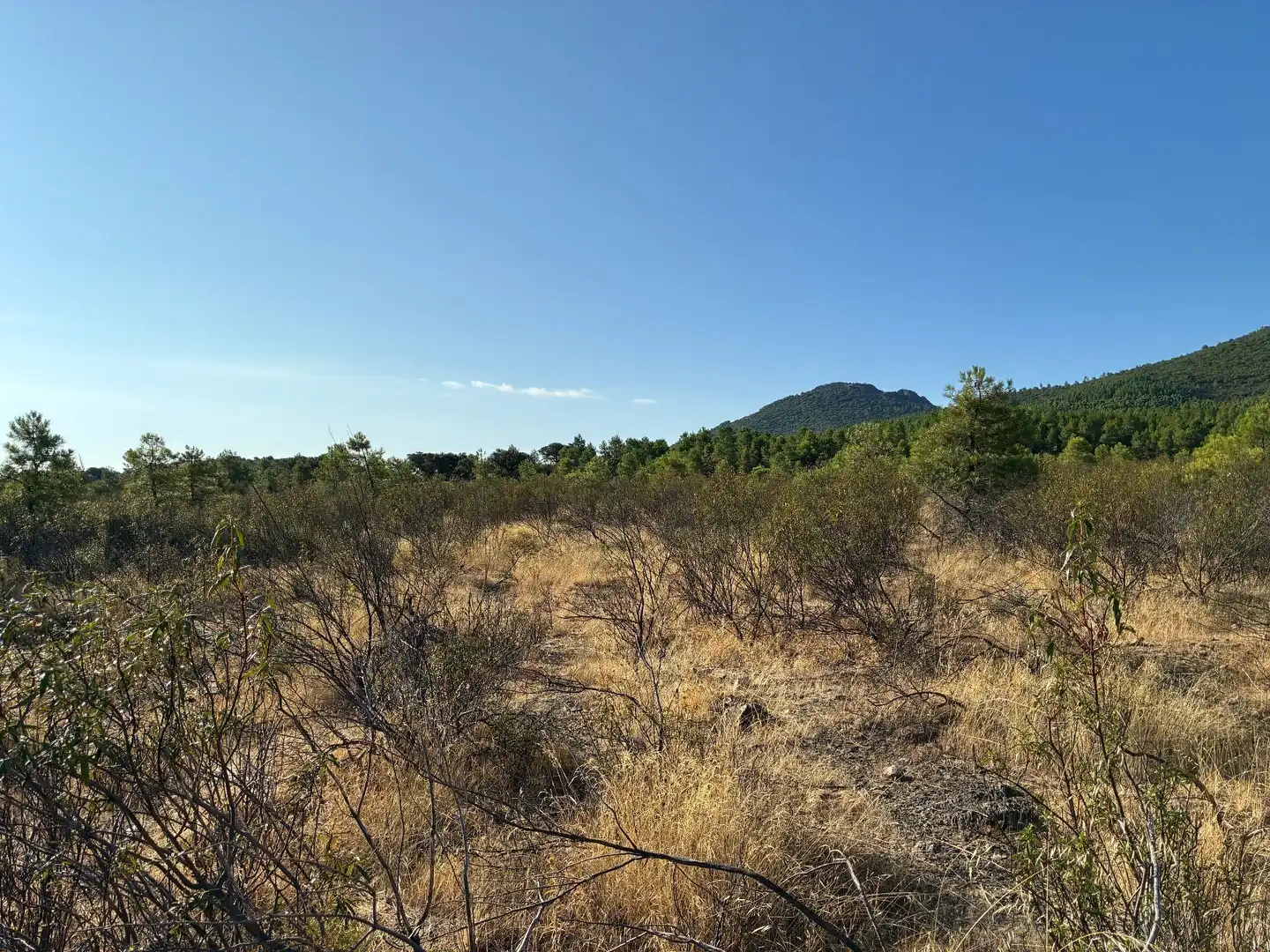 Rural land for sale in Puerto de San Vicente, imagen 4