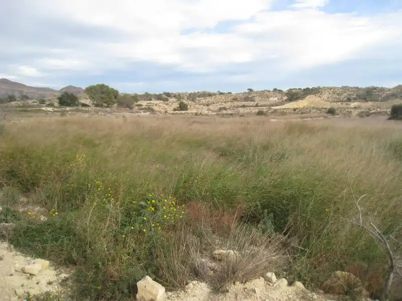 Terreno residencial en venta en Monforte del Cid, imagen 5