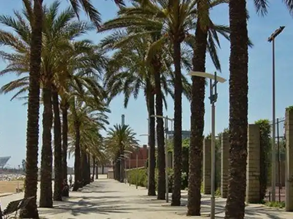 Vista exterior de Edificio en venta en Calella