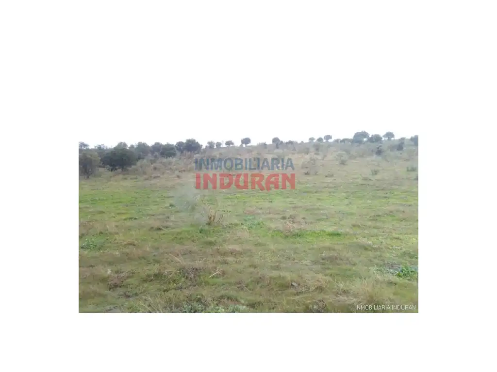 Casa en venda a Villar del Pedroso, imagen 10