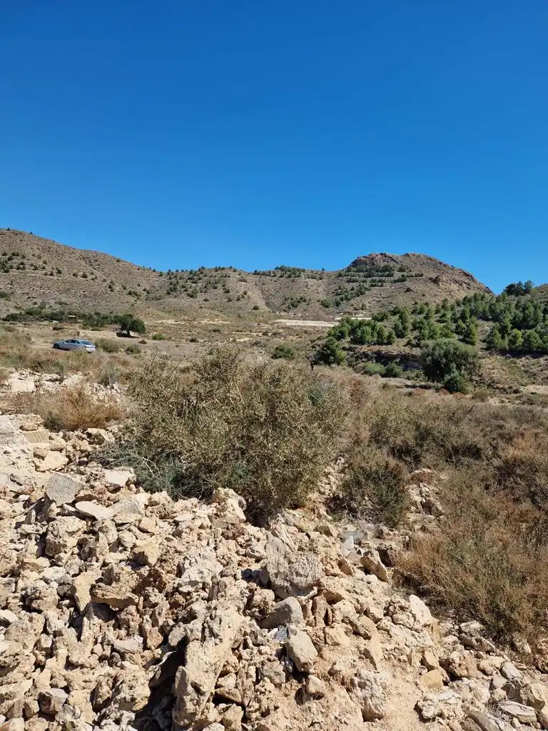 Rustikales Grundstück zum Verkauf in Pedanías Oeste, imagen 8