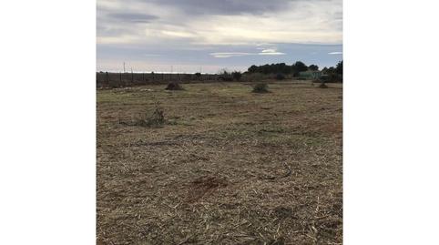 Photo 3 of Residential to rent in Sant Josep, Illes Balears