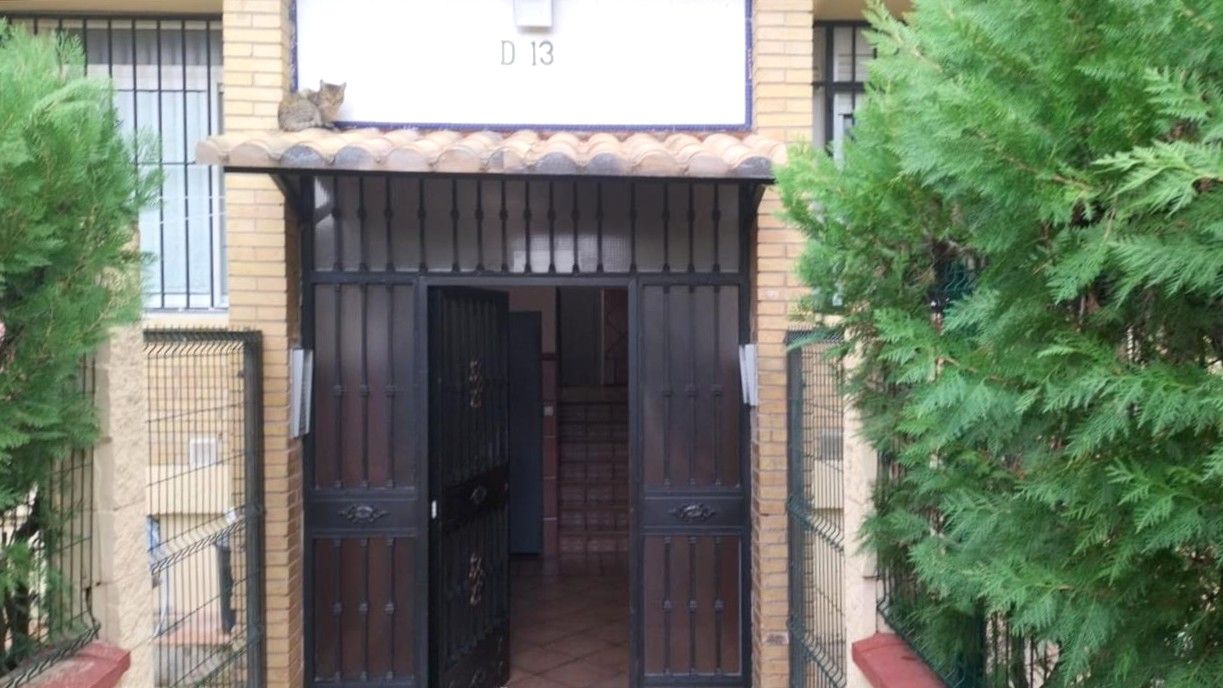 Flat for sale in Castilleja de la Cuesta