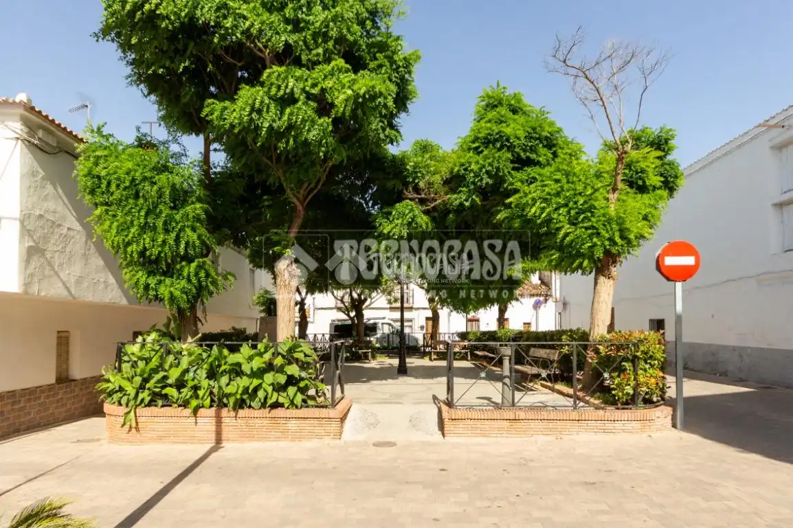 Vista exterior de Casa o chalet en venta en Zafarraya con Terraza