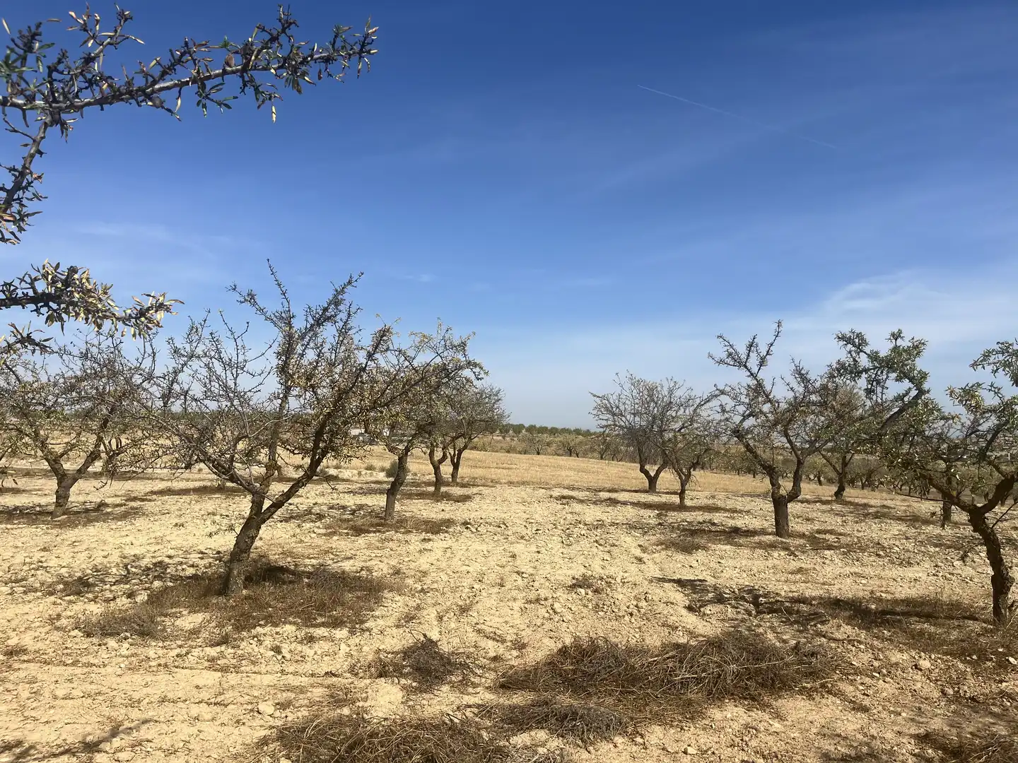 Rustikales Grundstück zum Verkauf in Avenida de Andalucía, imagen 10