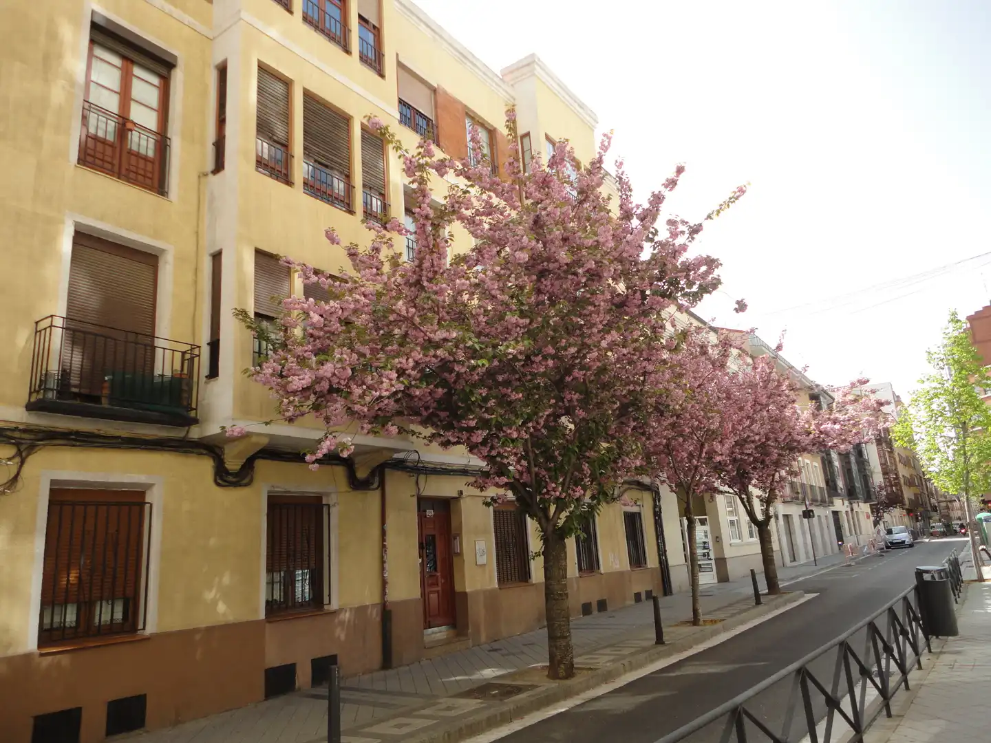 Piso en venta en Centro, imagen 9