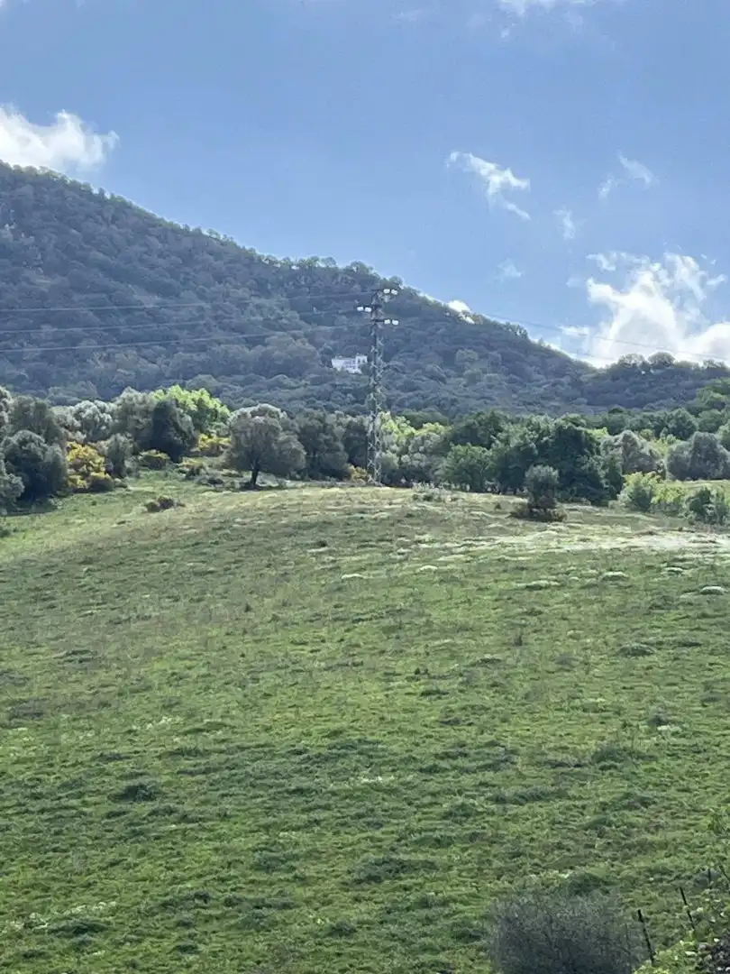 Casa rústica en venta en Cortes de la Frontera, imagen 6