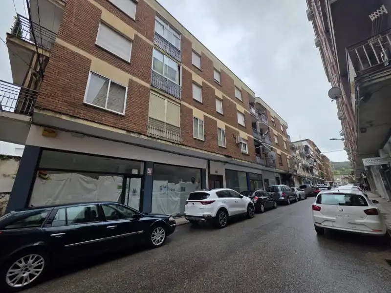 Vista exterior de Piso en venta en Navalmoral de la Mata con Jardín privado y Balcón