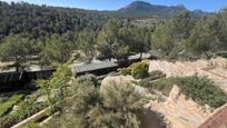 Jardí de Casa o xalet en venda en Tibi amb Jardí privat, Terrassa i Moblat