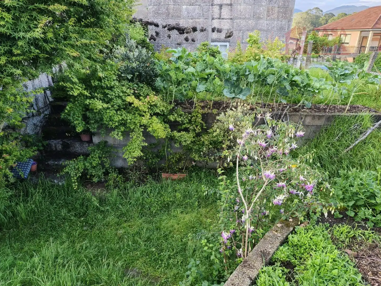 Terrain rustique à vendre à Moaña, imagen 8