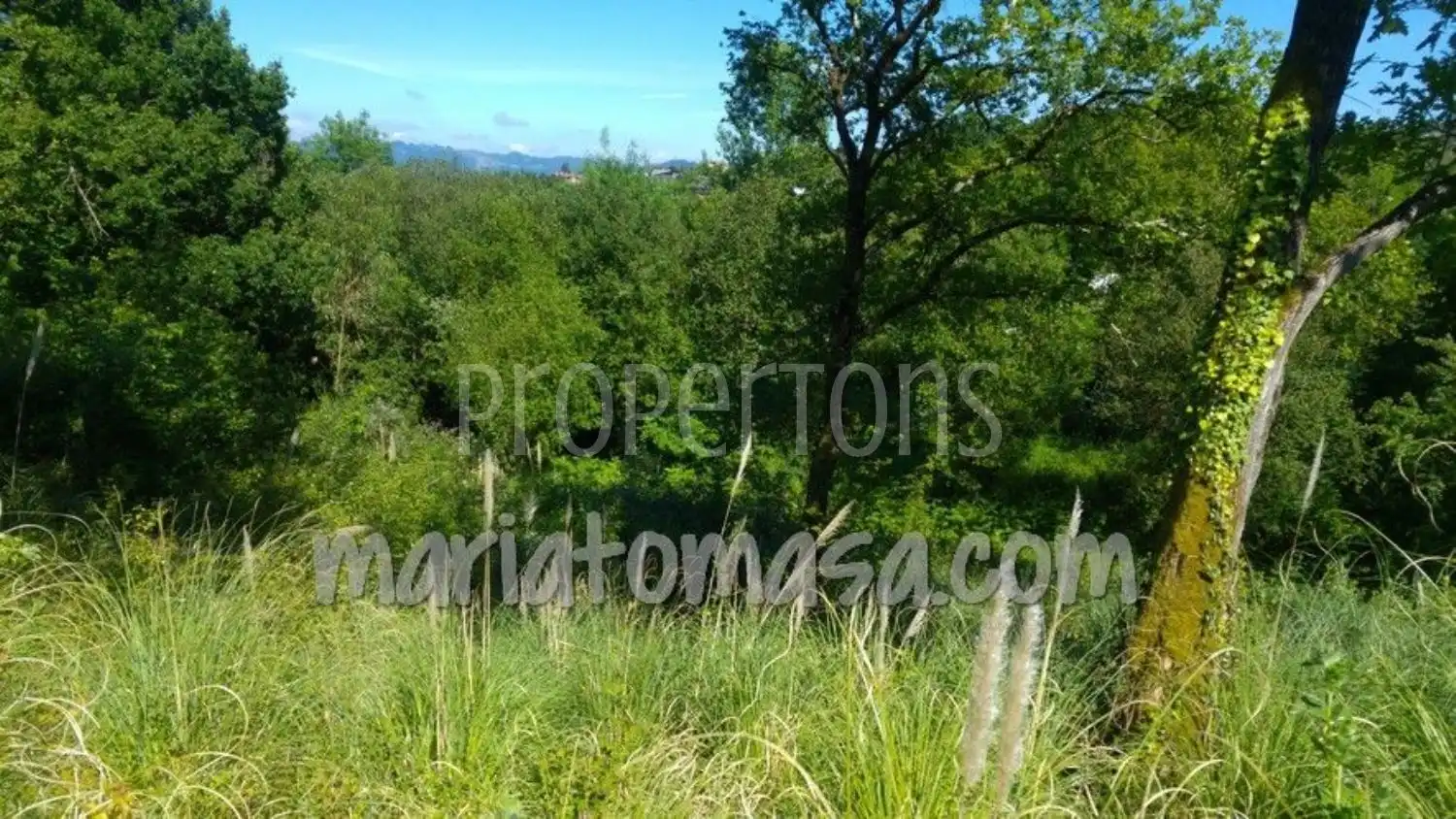 Lands and plots for sale in Mungia, imagen 2