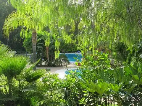 Swimming pool of Flat for rent in Marbella  with Air Conditioner, Heating and Terrace
