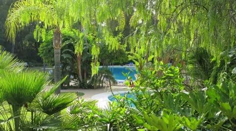 Foto 2 von Wohnung zur Miete in Avenida Reina Doña Sofia, 1, Bahía de Marbella, Marbella