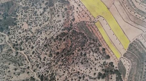 Terreno en venta en Pinoso.
