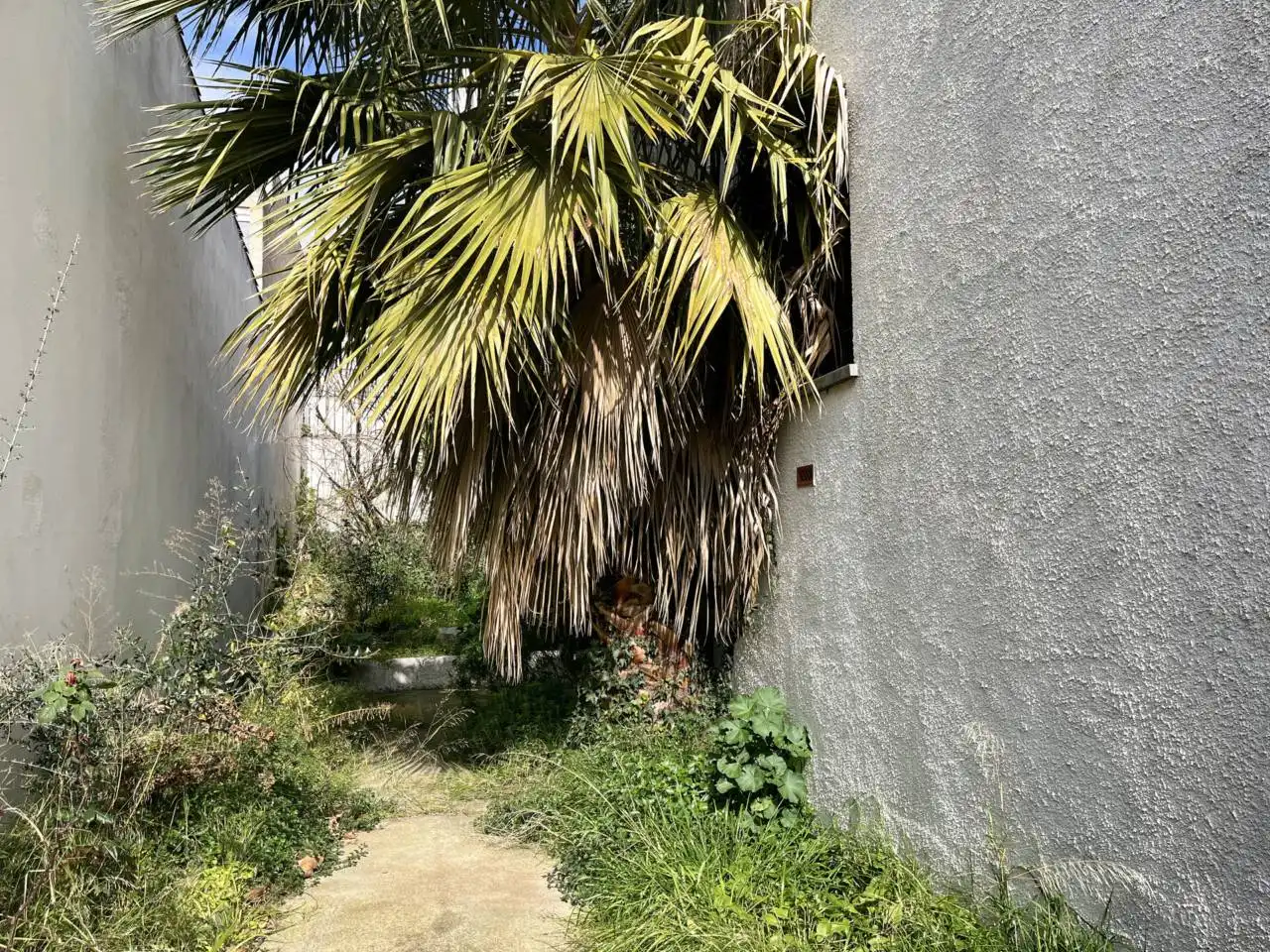 Vista exterior de Casa o chalet en venta en Castell d'Aro, Platja d'Aro i s'Agaró con Calefacción y Terraza