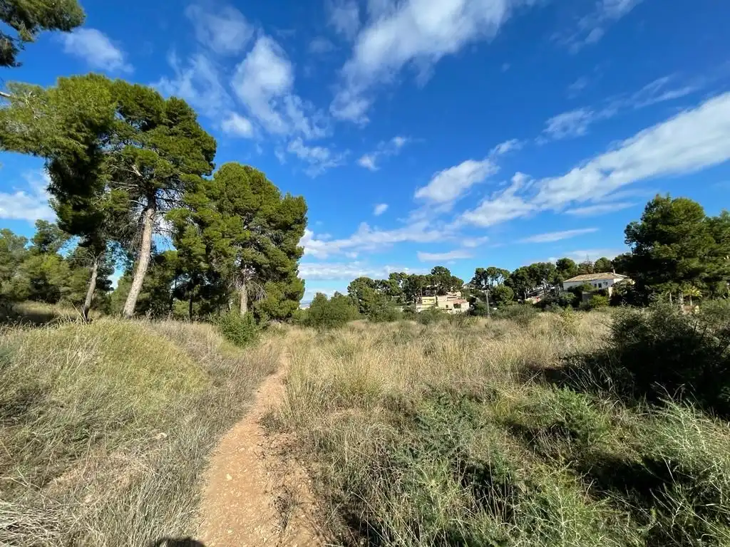 Terreny residencial en venda a Calle del Pino, imagen 12