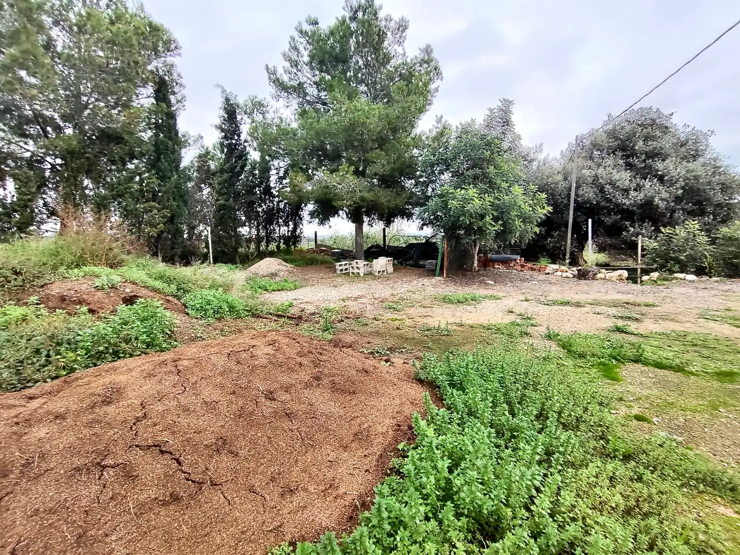Land for sale in Vilallonga del Camp