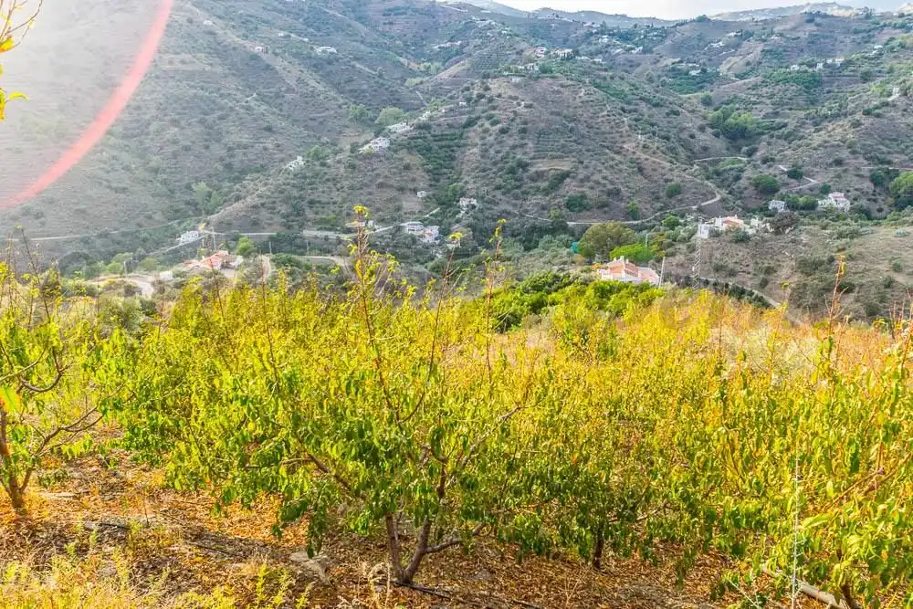 Rustikales Grundstück zum Verkauf in Torrox Pueblo, imagen 10