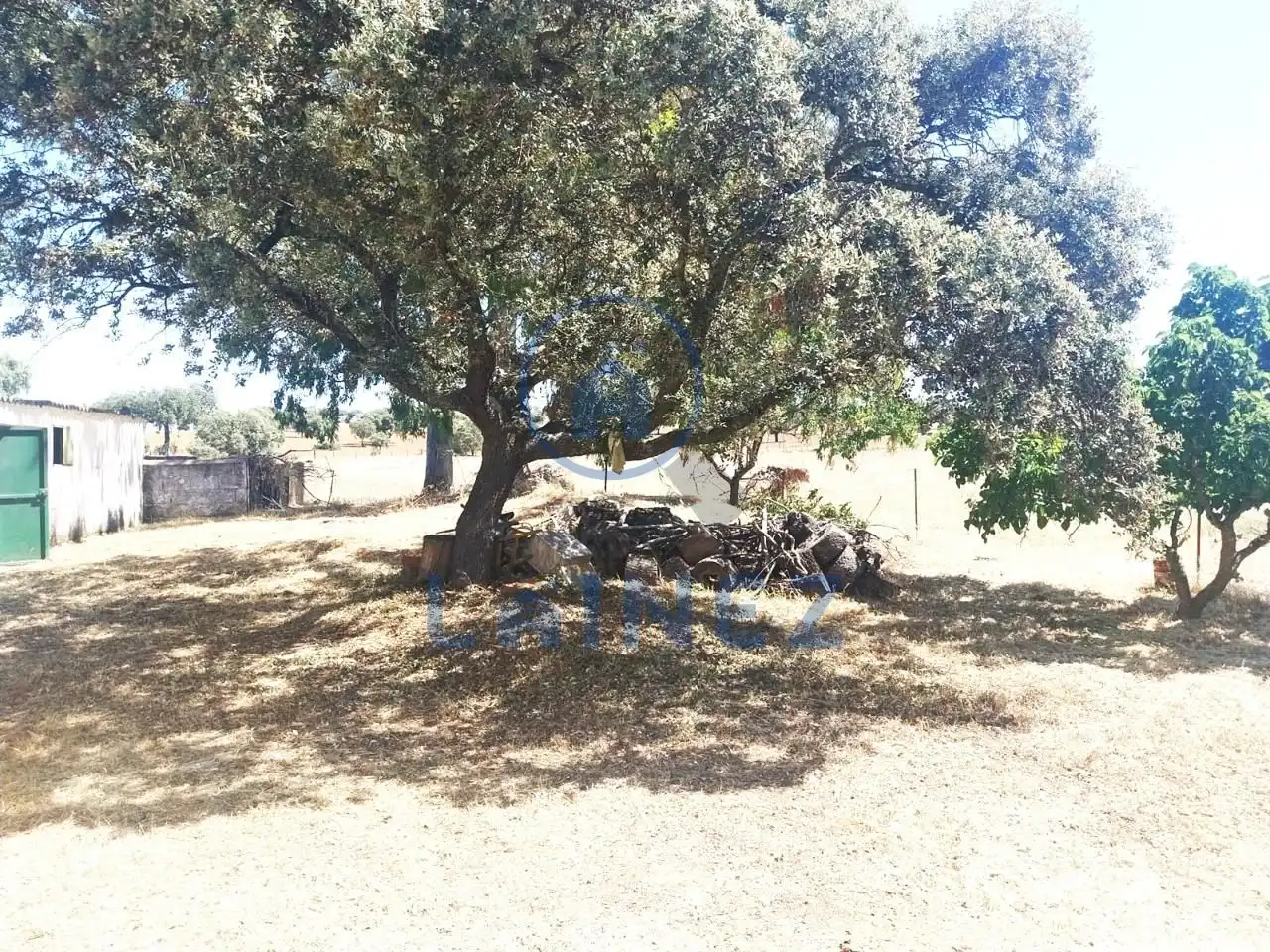 Rural land for sale in Fuente Obejuna, imagen 25