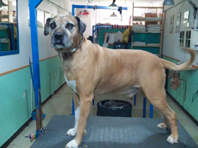 Local comercial en Venta en Calle Puerto de Somport, 4 en Juan XXIII - Rochelambert