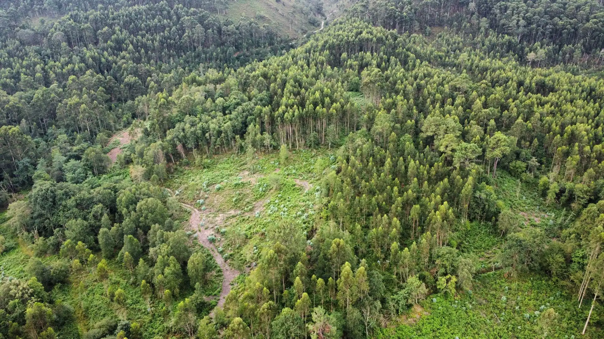 Terreno rustico in vendita a Pría - Nueva-Hontoria - Naves, imagen 19