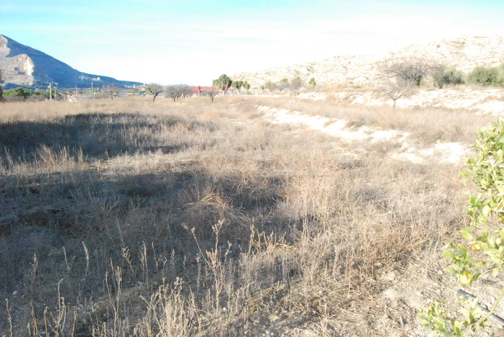 Houses for sale in Cañada del Fenollar