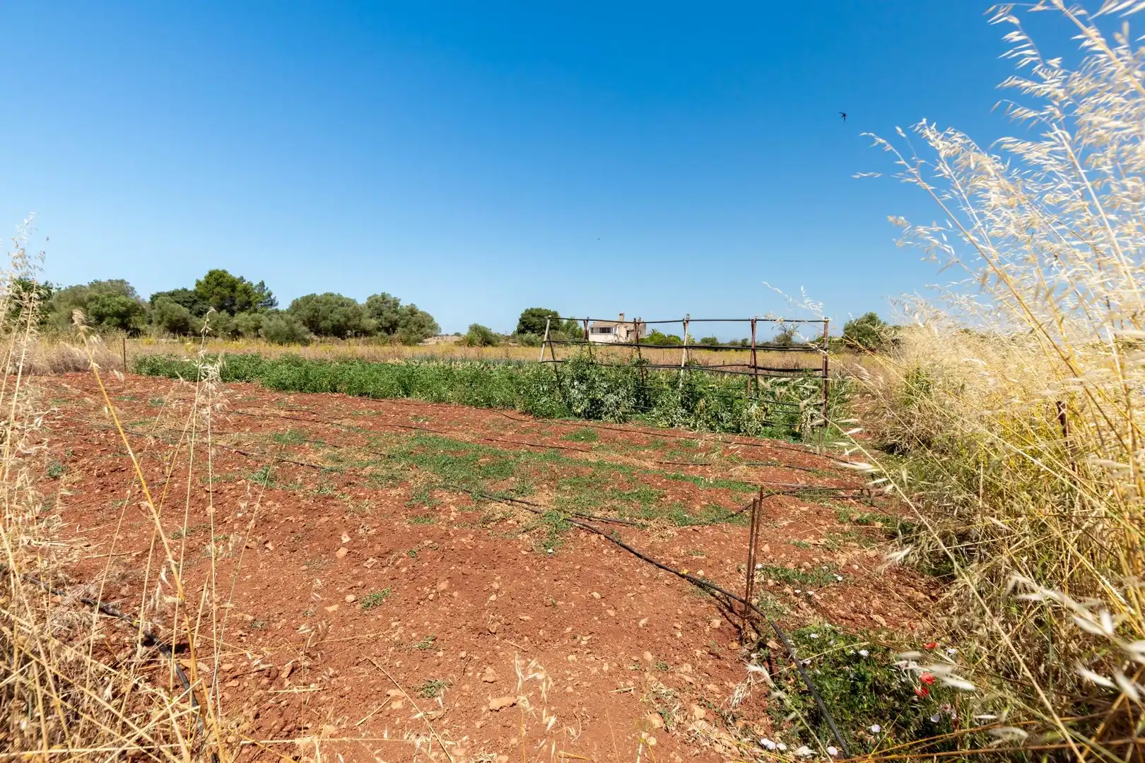 Finca rústica en venda en Felanitx amb Terrassa