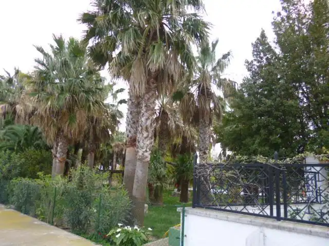Jardí de Casa o xalet en venda en Tortosa amb Aire condicionat, Calefacció i Jardí privat