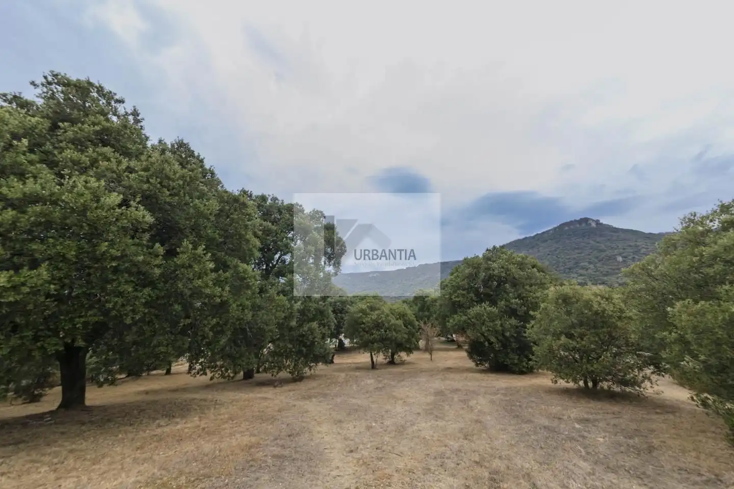 Maison jumelée à vendre à Calle Santa María, imagen 54